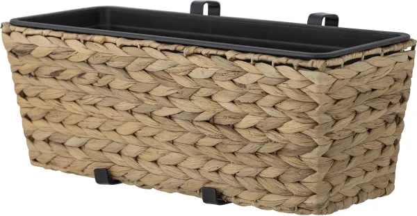 Raul, Krukväxtkruka, natur, natur